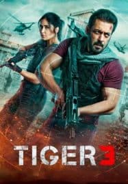 ดูหนังออนไลน์ เรียกข้าว่าเสือ 3 Tiger 3 (2023)