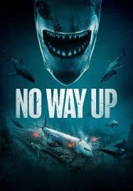 ดูหนังออนไลน์ No Way Up (2024) งาบคลั่งไฟลต์